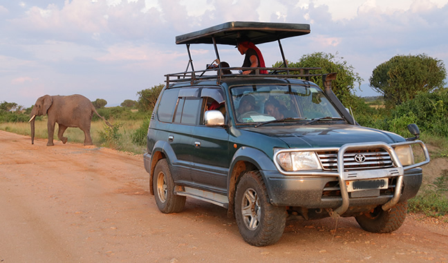 Safari Vehicle Hire - Rent a 4x4 Safari Car in Kenya | Drive Kenya Ltd