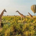 land cruiser safari kenya